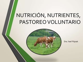 NUTRICIÓN, NUTRIENTES, 
PASTOREO VOLUNTARIO 
Dra. Yael Filipiak 
 
