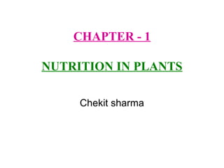 CHAPTER - 1
NUTRITION IN PLANTS
Chekit sharma
 