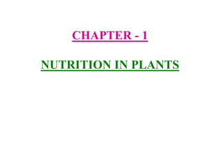 CHAPTER - 1
NUTRITION IN PLANTS
 