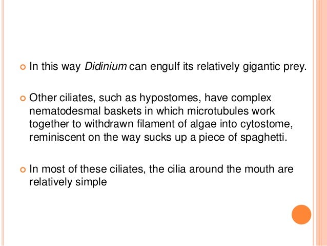 1 nutrition in protozoa