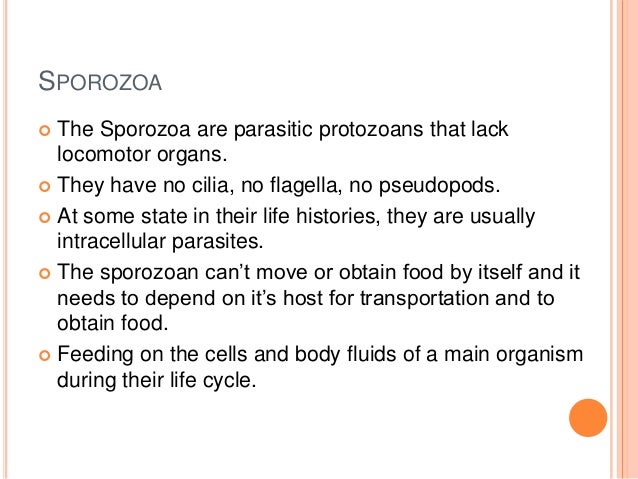 1 nutrition in protozoa