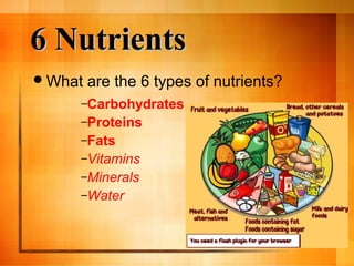 3-1 nutrition nutrients