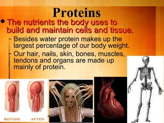 3-1 nutrition nutrients