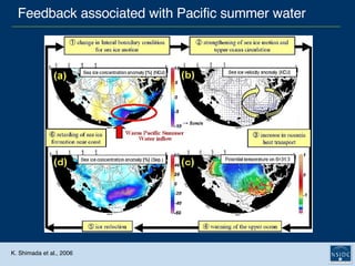 K. Shimada et al., 2006 Feedback associated with Pacific summer water 