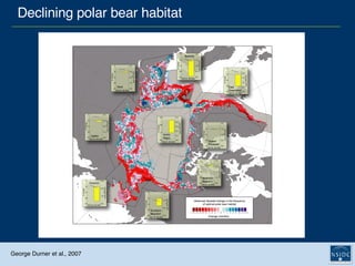 Declining polar bear habitat George Durner et al., 2007 