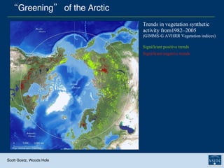 “ Greening” of the Arctic Trends in vegetation synthetic activity from1982–2005  (GIMMS-G AVHRR Vegetation indices) Significant positive trends Significant negative trends   Scott Goetz, Woods Hole 