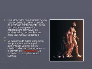 Sem depender dos períodos de cio para procriar, e com um período de gestação relativamente  curto, os  nossos antepassados conseguiram sobreviver às mortandades, porque lhes era mais fácil renovar a espécie . A evolução da nossa espécie foi sempre acompanhada pelo aumento do volume do seu cérebro. Mas não terá sido, como o provam os “ Neandertais ”, o único factor a explicar o seu sucesso. 