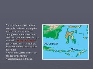 A evolução da nossa espécie nunca foi  pois, nem tranquila nem linear. A este nível o exemplo mais surpreendente e intrigante , encontramo - lo , no chamado “ Homo- Florensis  “, que de resto era uma mulher, descoberto numa gruta da ilha das Flores . Apenas uma ,entre as mais de mil que constituem o Arquipélago da Indonésia. 