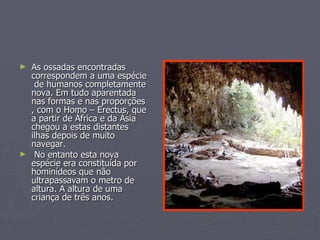 As ossadas encontradas correspondem a uma espécie  de humanos completamente nova. Em tudo aparentada nas formas e nas proporções , com o Homo – Erectus, que a partir de África e da Ásia  chegou a estas distantes ilhas depois de muito navegar. No entanto esta nova espécie era constituída por hominídeos que não ultrapassavam o metro de altura. A altura de uma criança de três anos. 