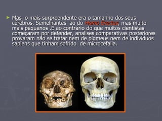 Mas  o mais surpreendente era o tamanho dos seus cérebros. Semelhantes  ao do  Homo Erectus , mas muito mais pequenos .E ao contrário do que muitos cientistas começaram por defender, analises comparativas posteriores provaram não se tratar nem de pigmeus nem de indivíduos sapiens que tinham sofrido  de microcefalia. 
