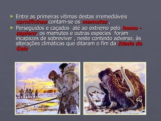 Entre as primeiras vítimas destas irremediáveis  carnificinas  contam-se os  mamutes  . Perseguidos e caçados  até ao extremo pelo  homo - sapiens , os mamutes e outras espécies  foram incapazes de sobreviver , neste contexto adverso, às alterações climáticas que ditaram o fim da  Idade do Gelo .   