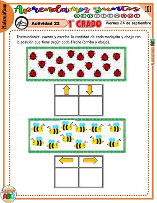 Viernes 24 de septiembre
Actividad 22
Instrucciones: cuenta y escribe la cantidad de cada mariquita y abeja con
la posición que tiene según cada flecha (arriba y abajo).
 