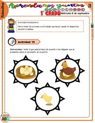 Miércoles 8 de septiembre
Instrucciones: tacha lo que pasó primero de acuerdo a las imágenes que se
presentan sobre el nacimiento de un pollito:
Actividad 10
Actividad introductoria:
Narra todas las acciones o actividades que haces cuando te despiertas
durante la mañana.
 