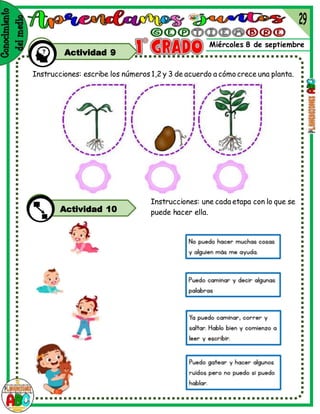 Miércoles 8 de septiembre
Actividad 9
Instrucciones: escribe los números1,2 y 3 de acuerdo a cómo crece una planta.
Instrucciones: une cada etapa con lo que se
puede hacer ella.
Actividad 10
 