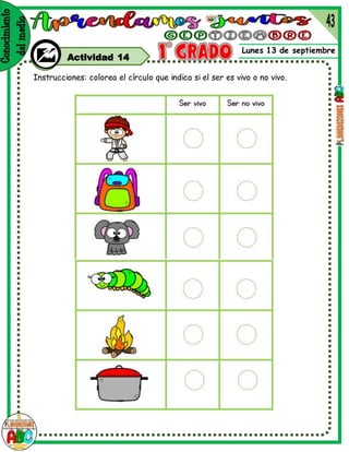 Lunes 13 de septiembre
Actividad 14
Instrucciones: colorea el círculo que indica si el ser es vivo o no vivo.
 