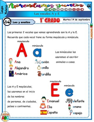 Martes 14 de septiembre
Leo y analizo
Las primeras 2 vocales que vamos aprendiendo son la A y la E.
Recuerda que cada vocal tiene su forma mayúscula y minúscula.
Las minúsculas las
usaremos al escribir
animales o cosas.
Las A y E mayúsculas,
las usaremos en el inicio
de los nombres
de personas, de ciudades,
países o continentes.
 