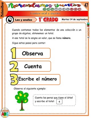 Martes 14 de septiembre
Cuando contamos todos los elementos de una colección o un
grupo de objetos, obtenemos un total.
A ese total se le asigna un valor, que se llama número.
Sigue estos pasos para contar:
Observa
Cuenta
Escribe el número
Observa el siguiente ejemplo:
Cuenta las peras que tiene el árbol
y escribe el total: 4
Leo y analizo
 