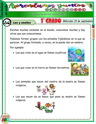Miércoles 15 de septiembre
Leo y analizo
Existen muchos animales en el mundo, conocemos muchos y hay
otros que aun conoceremos.
Podemos formar grupos con los animales fijándonos en lo que se
parecen. Al grupo formado, a veces, se le puede dar un nombre.
Por ejemplo:
 Los que viven en el agua se llaman acuáticos.
 Los que viven en la tierra se llaman terrestres.
 Los animales que nacen del vientre de la madre se llaman
vivíparos.
 Los que nacen de un huevo que pone su madre se llaman
ovíparos.
 