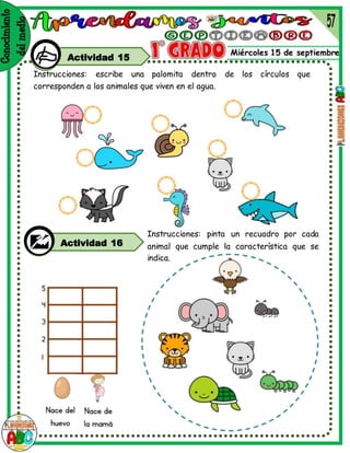 Miércoles 15 de septiembre
Actividad 15
Instrucciones: escribe una palomita dentro de los círculos que
corresponden a los animales que viven en el agua.
Actividad 16
Instrucciones: pinta un recuadro por cada
animal que cumple la característica que se
indica.
 