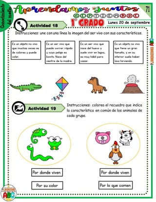 Lunes 20 de septiembre
Actividad 18
Instrucciones: une con una línea la imagen del ser vivo con sus características.
Instrucciones: colorea el recuadro que indica
la característica en común de los animales de
cada grupo.
Actividad 19
 