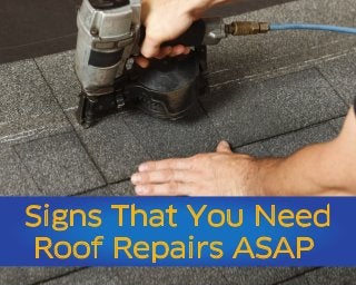 Signs That You Need
Roof Repairs ASAP
 