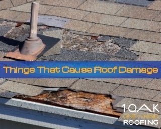 Things That Cause Roof Damage
 