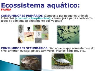 FAUNA

CONSUMIDORES PRIMÁRIOS :Composto por pequenos animais
flutuantes (chamados Zooplâncton), caramujos e peixes herbívoros,
todos se alimentado diretamente dos vegetais.




CONSUMIDORES SECUNDÁRIOS: São aqueles que alimentam-se do
nível anterior, ou seja, peixes carnívoros, insetos, cágados, etc.,
 