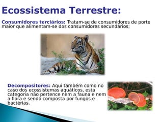 Consumidores terciários: Tratam-se de consumidores de porte
maior que alimentam-se dos consumidores secundários;




  Decompositores: Aqui também como no
  caso dos ecossistemas aquáticos, esta
  categoria não pertence nem a fauna e nem
  a flora e sendo composta por fungos e
  bactérias.
 