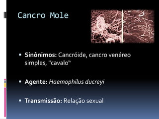 Cancro Mole



 Sinônimos: Cancróide, cancro venéreo
  simples, "cavalo“

 Agente: Haemophilus ducreyi


 Transmissão: Relação sexual
 