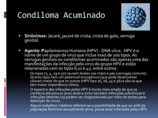 Condiloma Acuminado

 Sinônimos: Jacaré, jacaré de crista, crista de galo, verruga
   genital.

 Agente: Papilomavirus Humano (HPV) - DNA vírus. HPV é o
   nome de um grupo de virus que inclue mais de 100 tipos. As
   verrugas genitais ou condilomas acuminados são apenas uma das
   manifestações da infecção pelo virus do grupo HPV e estão
   relacionadas com os tipos 6,11 e 42, entre outros.
    Os tipos (2, 4, 29 e 57) causam lesões nas mãos e pés (verrugas comuns).
     Outros tipos tem um potencial oncogênico (que pode desenvolver
     câncer) maior do que os outros (HPV tipo 16, 18, 45 e 56) e são os que
     tem maior importância clínica.
    O espectro das infecções pelos HPV é muito mais amplo do que se
     conhecia até poucos anos atrás e inclui também infecções subclínicas e
     infecções latentes (só podem ser diagnosticada por meio de testes para
     detecção do virus).
    Alguns trabalhos médicos referem-se a possibilidade de que 10-20% da
     população feminina sexualmente ativa, possa estar infectada pelos HPV.
 