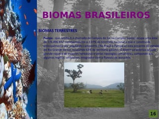 BIOMAS BRASILEIROS
For al St udi o A

                    BIOMAS TERRESTRES
                      Pampa - que também é chamado de Campos do Sul ou Campos Sulinos ocupa uma área
                      de 176.496 Km² correspondente a 2,07% do território nacional e que é constituído
                      principalmente por vegetação campestre.] No Brasil o Pampa só esta presente do estado
                      do Rio Grande do Sul, ocupando 63% do território gaúcho. O Bioma caracteriza-se pela
                      grande riqueza de espécies herbáceas e várias tipologias campestres, compondo em
                      algumas regiões, ambientes integrados com a floresta de araucária.




                                                                                                    16
 