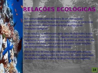 RELAÇÕES ECOLÓGICAS
For al St udi o A

                    Nas comunidades bióticas dentro de um ecossistema
                    encontram-se várias formas de interações entre os seres vivos
                    que as formam, denominadas relações ecológicas ou
                    interações biológicas
                    Essas relações se diferenciam pelos tipos de dependência que
                    os organismos mantêm entre si. Algumas dessas interações se
                    caracterizam pelo benefício mútuo de ambos os seres vivos, ou
                    de apenas um deles, sem o prejuízo do outro. Essas relações
                    são denominadas harmônicas ou positivas.
                    Outras formas de interações são caracterizadas pelo prejuízo
                    de um de seus participantes em benefício do outro. Esses tipos
                    de relações recebem o nome de desarmônicas ou negativas.



                                                                                 18
 