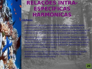 RELAÇÕES INTRA-
                          ESPECÍFICAS
For al St udi o A
                          HARMÔNICAS
                    COLÔNIAS
                      Uma colônia é o agrupamento de indivíduos da mesma espécie ligados
                      anatomicamente uns aos outros e com interdependência fisiológica. A
                      principal característica das colônias é que é impossível a sobrevivência de um
                      indivíduo se por acaso ele for isolado do conjunto que constitui a colônia.

                      Nas colônias pode ou não ocorrer divisão do trabalho. Quando as colônias
                      são constituídas por organismos que apresentam a mesma forma, não ocorre
                      divisão de trabalho, todos os indivíduos são iguais e executam todos eles as
                      mesmas funções vitais, nesses casos as colônias são denominadas colônias
                      isomorfas como as colônias de corais.

                      Quando as colônias são constituídas por indivíduos com formas e funções
                      distintas ocorre uma divisão de trabalhos, então essas colônias são
                      denominadas colônias heteromorfas.



                                                                                                20
 
