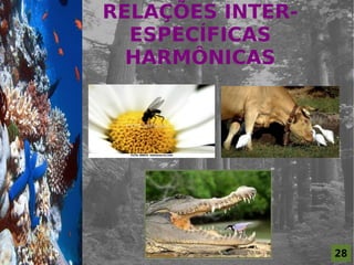 RELAÇÕES INTER-
                      ESPECÍFICAS
For al St udi o A
                      HARMÔNICAS




                                      28
 