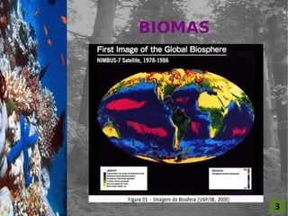 3
BIOMAS
  For al St udi o A
 