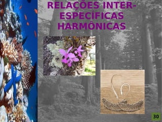 RELAÇÕES INTER-
                      ESPECÍFICAS
For al St udi o A
                      HARMÔNICAS




                                      30
 