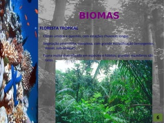 BIOMAS
For al St udi o A
                    FLORESTA TROPICAL
                     Climas úmidos e quentes, com estações chuvosas longas.

                     Vegetação perenifólia, complexa, com grande estratificação (emergentes,
                      dossel, sub-bosque).

                     Fauna muito diversificada em espécies e hábitos; grandes mamíferos são
                      raros.




                                                                                               6
 