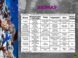 11
BIOMAS
  For al St udi o A
 