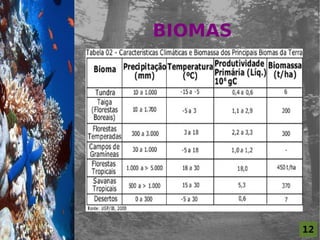 12
BIOMAS
  For al St udi o A
 