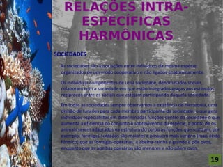 RELAÇÕES INTRA-
                         ESPECÍFICAS
For al St udi o A
                         HARMÔNICAS
                    SOCIEDADES
                      As sociedades são associações entre indivíduos da mesma espécie,
                      organizados de um modo cooperativo e não ligados anatomicamente.

                      Os indivíduos componentes de uma sociedade, denominados sociais,
                      colaboram com a sociedade em que estão integrados graças aos estímulos
                      recíprocos entre os sociais que estejam participando daquela sociedade.

                      Em todas as sociedades sempre observamos a existência de hierarquia, uma
                      divisão de funções para cada membro participante da sociedade, o que gera
                      indivíduos especialistas em determinadas funções dentro da sociedade o que
                      aumenta a eficiência do conjunto e sobrevivência da espécie, a ponto de os
                      animais serem adaptados na estrutura do corpo às funções que realizam, por
                      exemplo: formigas-soldados são maiores e possuem mais veneno (mais ácido
                      fórmico) que as formigas-operárias; a abelha-raínha é grande e põe ovos,
                      enquanto que as abelhas operárias são menores e não põem ovos.

                                                                                           19
 