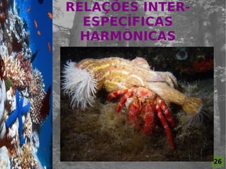 RELAÇÕES INTER-
                      ESPECÍFICAS
For al St udi o A
                      HARMÔNICAS




                                      26
 