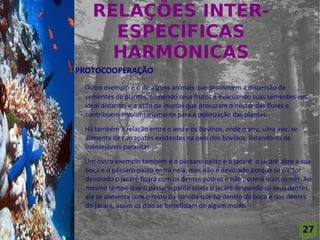 RELAÇÕES INTER-
                         ESPECÍFICAS
For al St udi o A
                         HARMÔNICAS
                    PROTOCOOPERAÇÃO
                     Outro exemplo é o de alguns animais que promovem a dispersão de
                     sementes de plantas, comendo seus frutos e evacuando suas sementes em
                     local distante, e a ação de insetos que procuram o néctar das flores e
                     contribuem involuntariamente para a polinização das plantas.

                     Há também a relação entre o anu e os bovinos, onde o anu, uma ave, se
                     alimenta de carrapatos existentes na pele dos bovinos, livrando-os de
                     indesejáveis parasitas.

                     Um outro exemplo também é o pássaro-palito e o jacaré: o jacaré abre a sua
                     boca e o pássaro-palito entra nela, mas não é devorado porque se ele for
                     devorado o jacaré ficará com os dentes podres e não poderá mais comer. Ao
                     mesmo tempo que o pássaro-palito ajuda o jacaré limpando os seus dentes,
                     ele se alimenta com o resto da comida que há dentro da boca e dos dentes
                     do jacaré, assim os dois se beneficiam de algum modo.


                                                                                             27
 