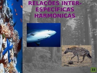 RELAÇÕES INTER-
                      ESPECÍFICAS
For al St udi o A
                      HARMÔNICAS




                                      33
 