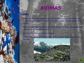 BIOMAS
For al St udi o A
                    TUNDRA
                     Entre linha de árvores (taiga) e linha de neve eterna, acima do círculo polar;
                     temperaturas muito baixas quase o ano todo; estação de crescimento curta
                     (verão).

                     Altas latitudes (especialmente hemisfério norte) e altitudes; solo congelado o
                     ano todo ou a maior parte do ano.

                     Sem árvores - só ervas, líquens e musgos.

                     Maioria dos animais (aves insetívoras, lebres, caribus, lobos, raposas) hiberna
                     ou migra.




                                                                                                 4
 