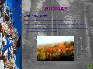 BIOMAS
For al St udi o A
                    FLORESTA TEMPERADA
                     Zonas temperadas com invernos frios e verões mais longos.

                     Maioria das árvores caducifólias (tons vermelhos e amarelos no outono).

                     Fauna semelhante à da taiga, mas com porcos, esquilos e outros, além de
                       algumas aves granívoras e frugívoras.




                                                                                               5
 