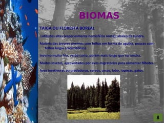 BIOMAS
For al St udi o A
                    TAIGA OU FLORESTA BOREAL
                    Latitudes altas (especialmente hemisfério norte), abaixo da tundra.

                    Maioria das árvores perenes com folhas em forma de agulha, poucas com
                      folhas largas (caducifólias).

                    Inverno muito frio, verão curto, porém mais longo que na tundra.

                    Muitos insetos, aproveitados por aves migratórias para alimentar filhotes.

                    Aves insetívoras ou predadoras, cervos, ursos, lobo, raposas, gatos.




                                                                                                 8
 