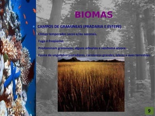 BIOMAS
For al St udi o A
                    CAMPOS DE GRAMINEAS (PRADARIA E ESTEPE)
                    Climas temperados secos e/ou sazonais.

                    Fogo é freqüente.

                    Predominam gramíneas; alguns arbustos e nenhuma árvore.

                    Fauna de ungulados pastadores, carnívoros grandes, lebres e aves terrestres.




                                                                                              9
 