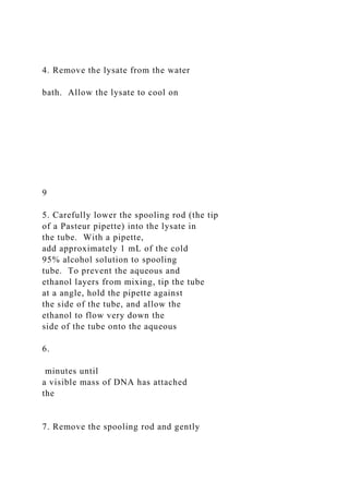 4. Remove the lysate from the water
bath. Allow the lysate to cool on
9
5. Carefully lower the spooling rod (the tip
of a Pasteur pipette) into the lysate in
the tube. With a pipette,
add approximately 1 mL of the cold
95% alcohol solution to spooling
tube. To prevent the aqueous and
ethanol layers from mixing, tip the tube
at a angle, hold the pipette against
the side of the tube, and allow the
ethanol to flow very down the
side of the tube onto the aqueous
6.
minutes until
a visible mass of DNA has attached
the
7. Remove the spooling rod and gently
 