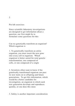 2
Pre-lab exercises:
Since scientific laboratory investigations
are designed to get information about a
question, our first might be to
formulate some questions for this
Can we genetically transform an organism?
Which organism is
1. To genetically transform an entire
organism, you must insert the new gene
into every cell in organism. Which
organism is better suited for total genetic
transformation, one composed of
cells, or one composed of a single
2. Scientists often want to know if the
genetically transformed organism can pass
its new traits on to offspring and future
generations. To get this information, which
would be a better candidate for
investigation, an organism in which each
new generation develops and reproduces
quickly, or one does this more
3. Safety is another important consideration
 