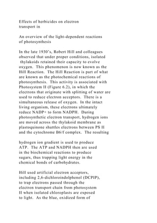 Effects of herbicides on electron
transport in
An overview of the light-dependent reactions
of photosynthesis
In the late 1930’s, Robert Hill and colleagues
observed that under proper conditions, isolated
thylakoids retained their capacity to evolve
oxygen. This phenomenon is now known as the
Hill Reaction. The Hill Reaction is part of what
are known as the photochemical reactions of
photosynthesis. This activity is associated with
Photosystem II (Figure 6.2), in which the
electrons that originate with splitting of water are
used to reduce electron acceptors. There is a
simultaneous release of oxygen. In the intact
living organism, these electrons ultimately
reduce NADP+ to form NADPH. During
photosynthetic electron transport, hydrogen ions
are moved across the thylakoid membrane as
plastoquinone shuttles electrons between PS II
and the cytochrome B6/f complex. The resulting
hydrogen ion gradient is used to produce
ATP. The ATP and NADPH then are used
in the biochemical reactions to produce
sugars, thus trapping light energy in the
chemical bonds of carbohydrates.
Hill used artificial electron acceptors,
including 2,6-dichloroindolphenol (DCPIP),
to trap electrons passed through the
electron transport chain from photosystem
II when isolated chloroplasts are exposed
to light. As the blue, oxidized form of
 